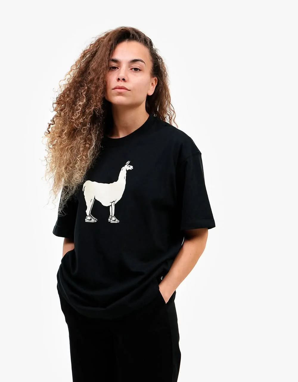 Nike SB Paul T-Shirt - Black